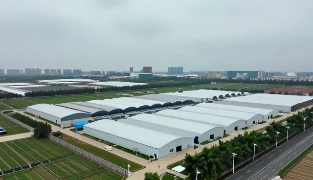 提升沟通效率的关键：应用策划中的性能优化与适用场景分析